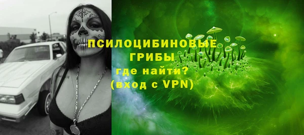 амф Кущёвская