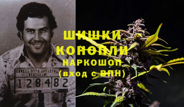 mix Богородицк