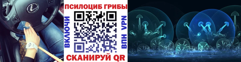 Псилоцибиновые грибы прущие грибы  Купить где  Переславль-Залесский 